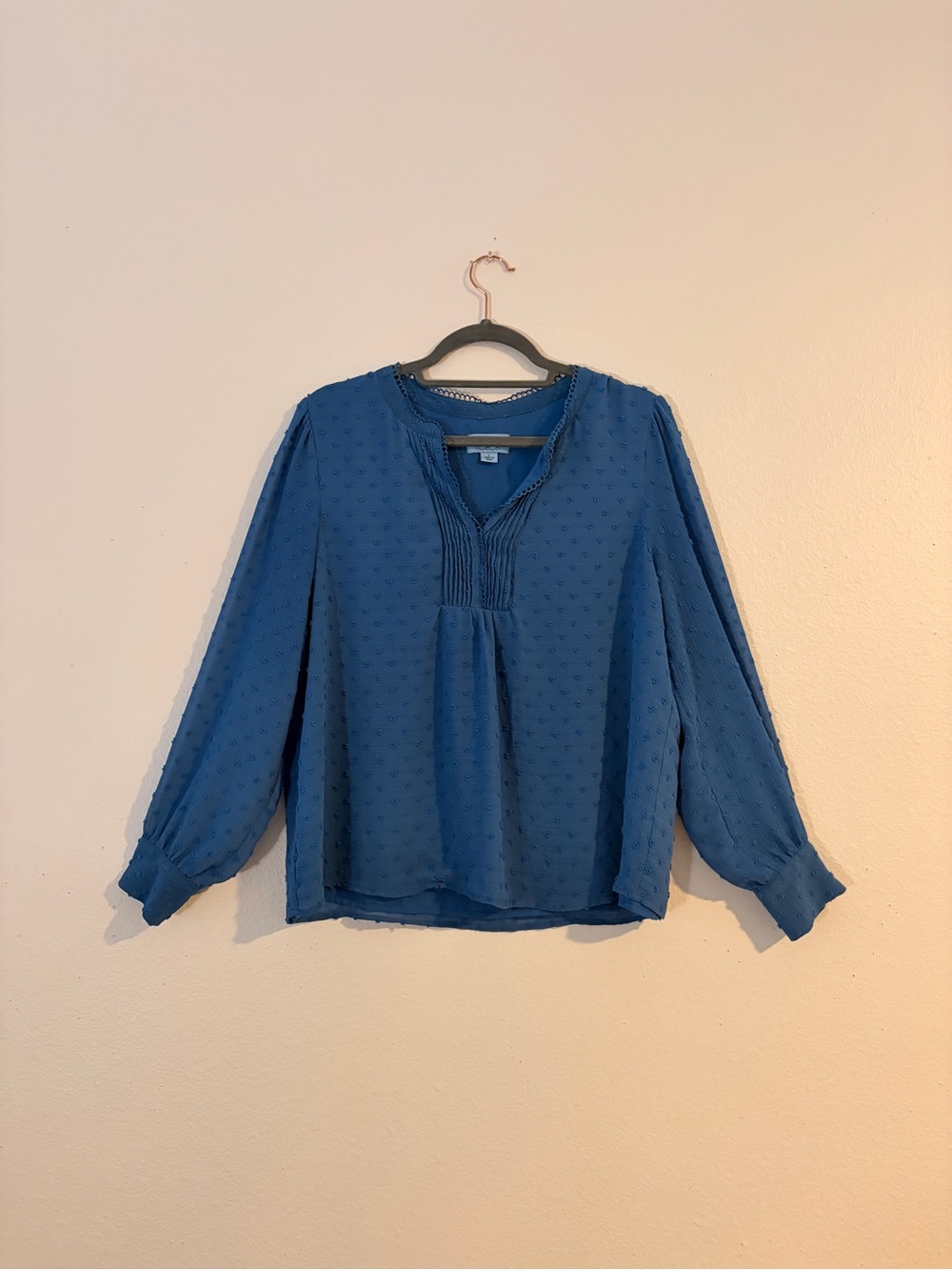CeCe Blue Swiss Dot Long Sleeve Blouse Size Large